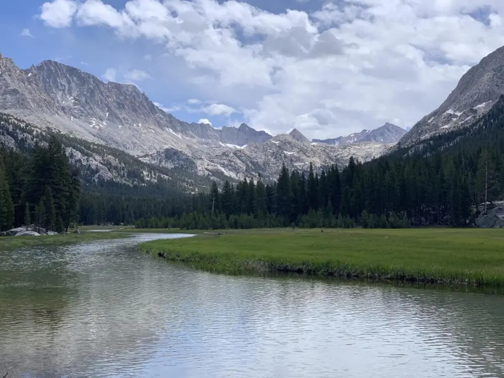 McClure Meadow